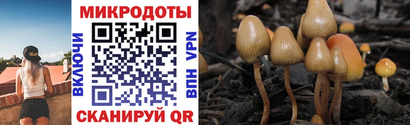 Псилоцибиновые грибы мухоморы  закладка  Лянтор 