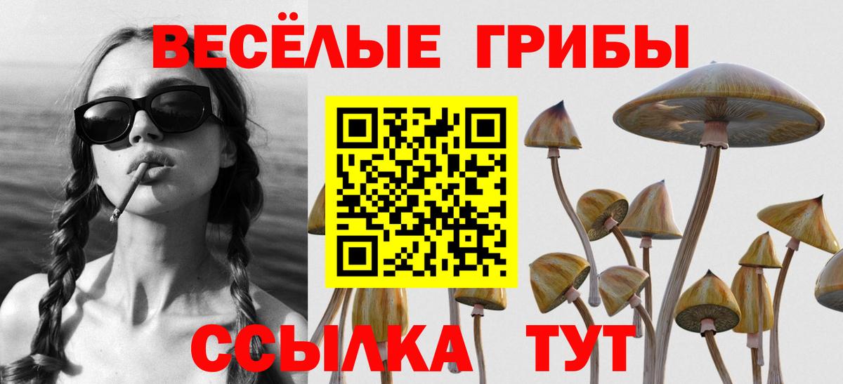 хочу   Галлюциногенные грибы Magic Shrooms  Вход с VPN  Лянтор 