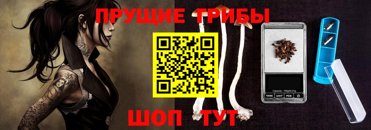 Галлюциногенные грибы Psilocybine cubensis  Галлюциногенные грибы ЛСД  Лянтор 